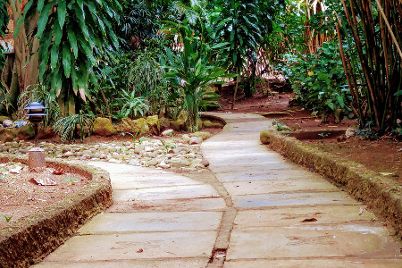 Hedonism II March 2019