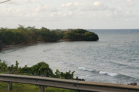 Hedonism II March 2019