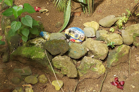 Hedonism II October 2019