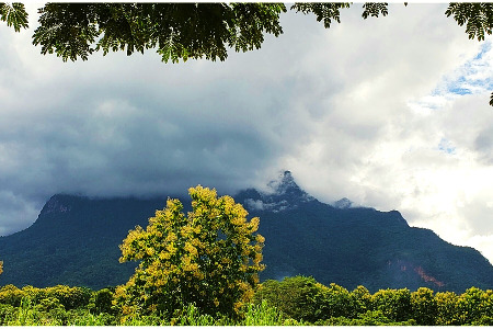 Shaolin Pilgrimage 2021