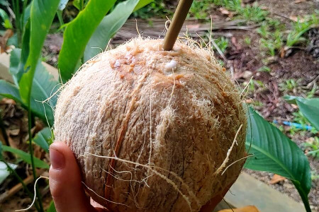 Shaolin Pilgrimage 2021