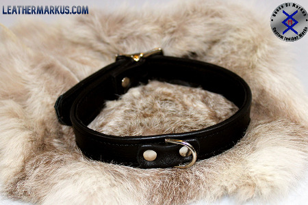 Custom leather collars