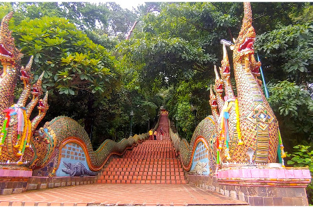 Shaolin Pilgrimage 2021