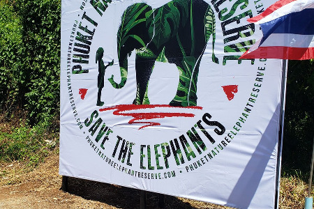 Shaolin Pilgrimage 2021