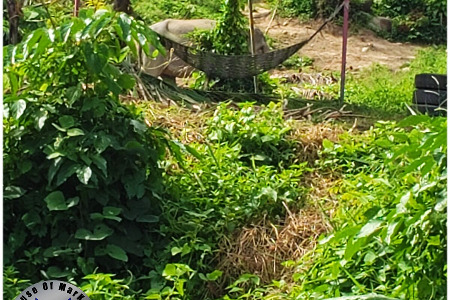 Shaolin Pilgrimage 2021