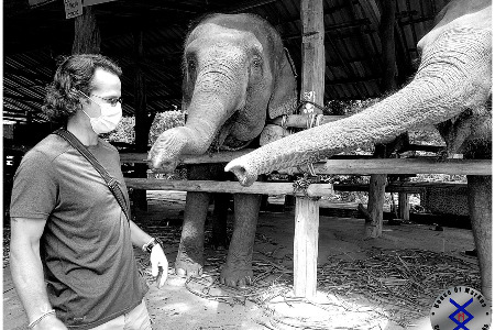 Shaolin Pilgrimage 2021