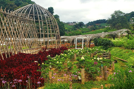 Shaolin Pilgrimage 2021