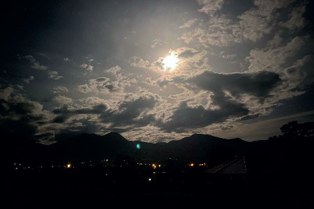 Shaolin Pilgrimage 2021