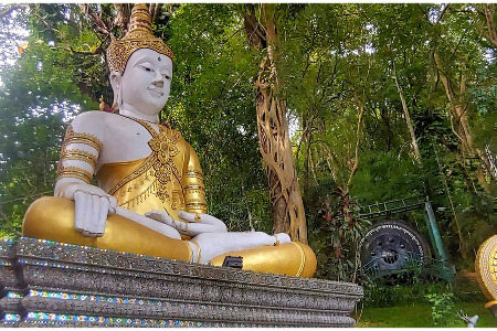 Shaolin Pilgrimage 2021