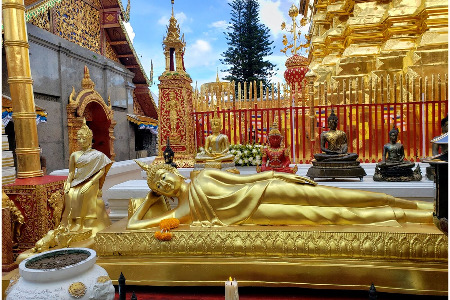 Shaolin Pilgrimage 2021