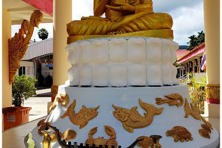 Shaolin Pilgrimage 2021