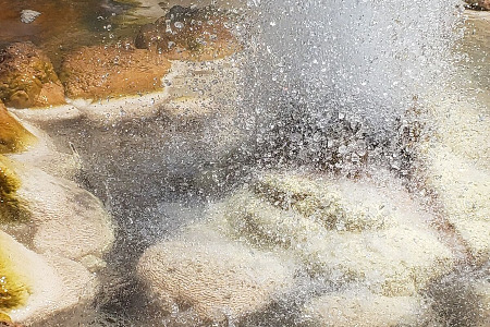 Shaolin Pilgrimage 2021