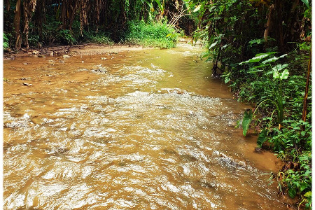 Shaolin Pilgrimage 2021