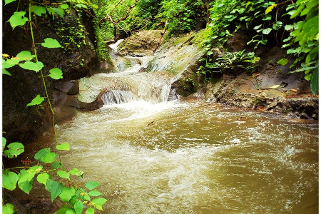 Shaolin Pilgrimage 2021