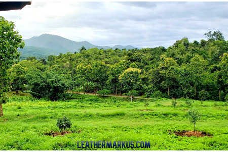 Shaolin Pilgrimage 2021