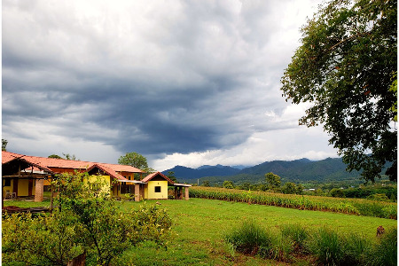 Shaolin Pilgrimage 2021