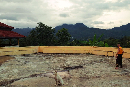 Shaolin Pilgrimage 2021