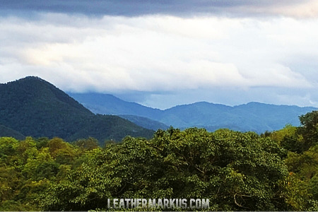 Shaolin Pilgrimage 2021