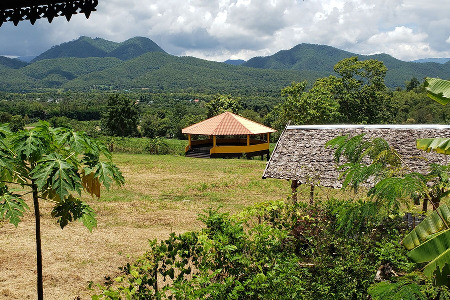 Shaolin Pilgrimage 2021