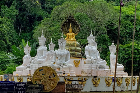 Shaolin Pilgrimage 2021