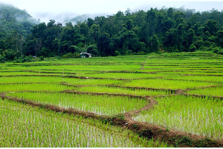 Shaolin Pilgrimage 2021