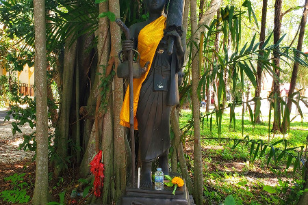 Shaolin Pilgrimage 2021