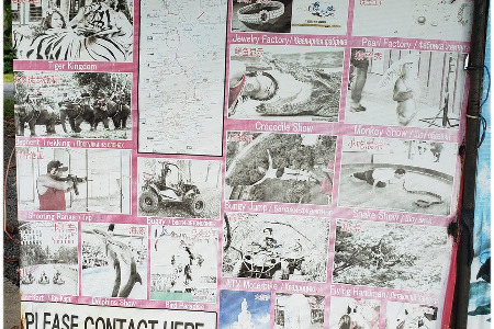 Shaolin Pilgrimage 2021