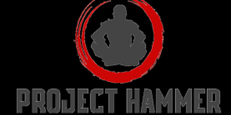 hammer project